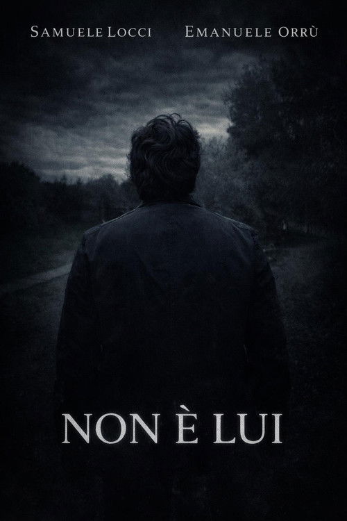 Non è lui Poster