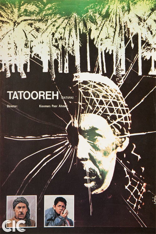Tatooreh Poster