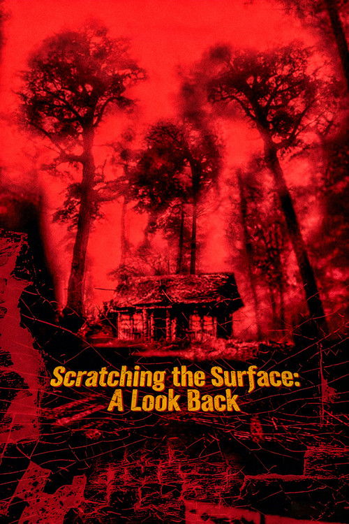 Scratching the Surface: A Look Back Poster