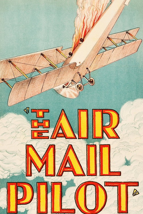 The Air Mail Pilot Poster