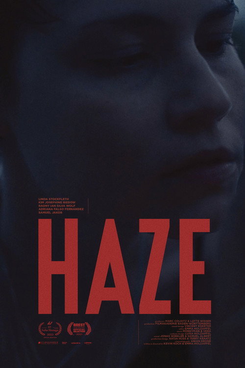 HAZE Poster