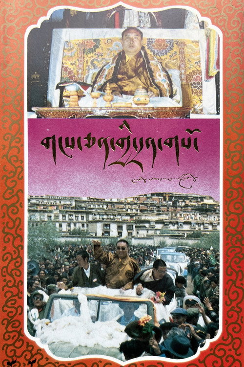 Remembering the Snowland Poster