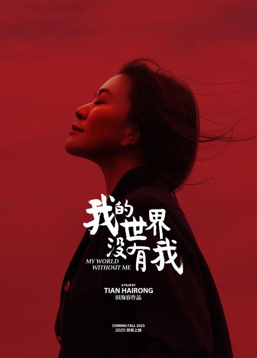 My World without Me Poster