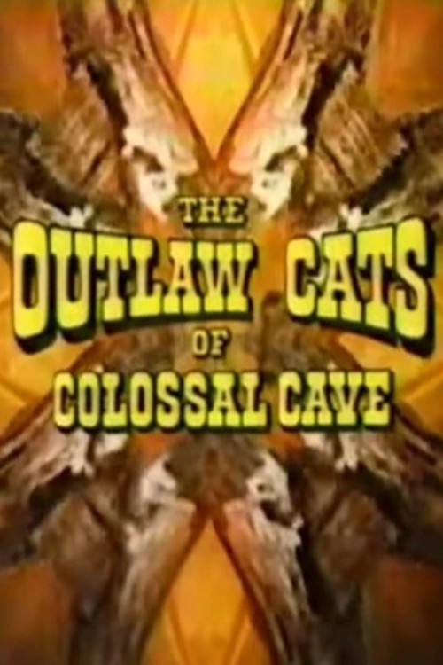 The Outlaw Cats of Colossal Cave Poster