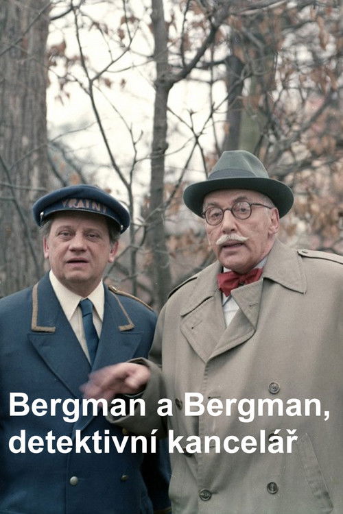 Bergman a Bergman, detektivní kancelář Poster