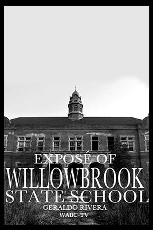 Willowbrook: The Last Great Disgrace Poster