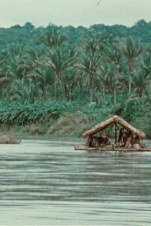 The Raft Poster