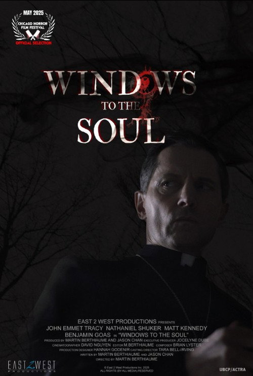 Windows to the Soul Poster