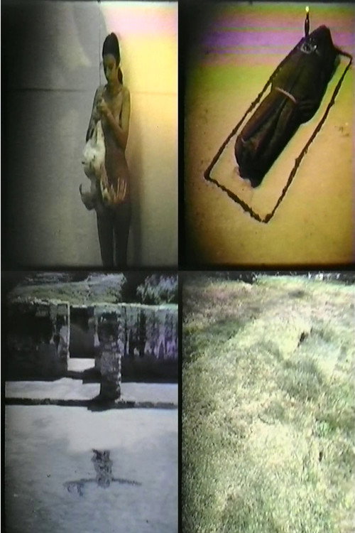 Ana Mendieta: Selected Film Works Poster