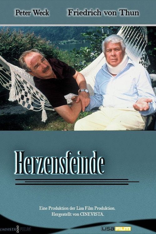 Herzensfeinde Poster