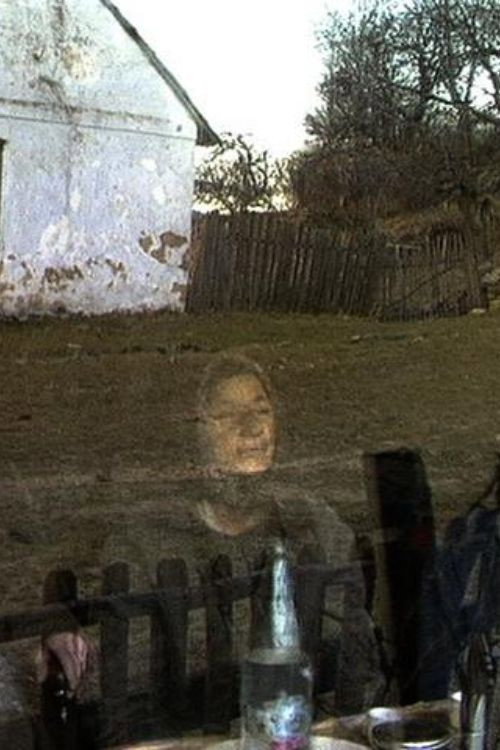Lindenfeld 1994 Poster