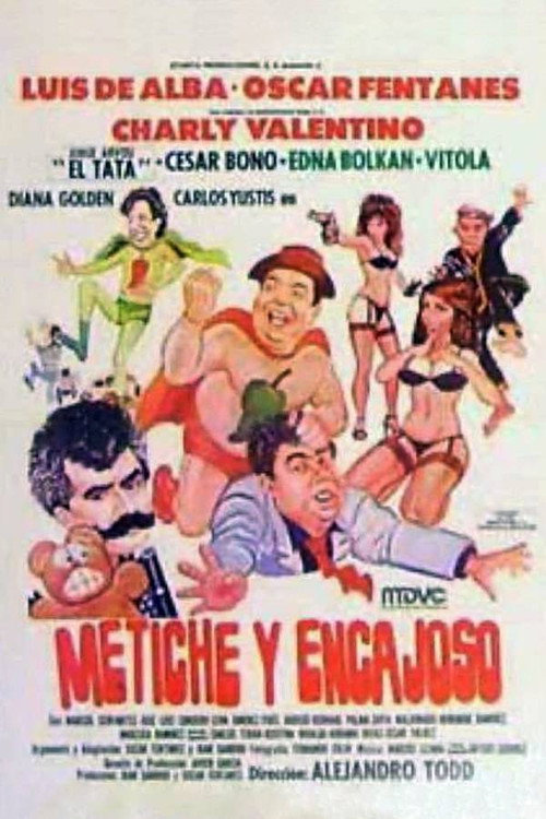 Metiche y encajoso Poster