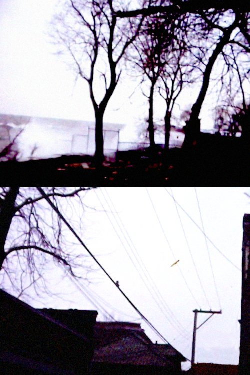 Cold Day with Chuck Poster