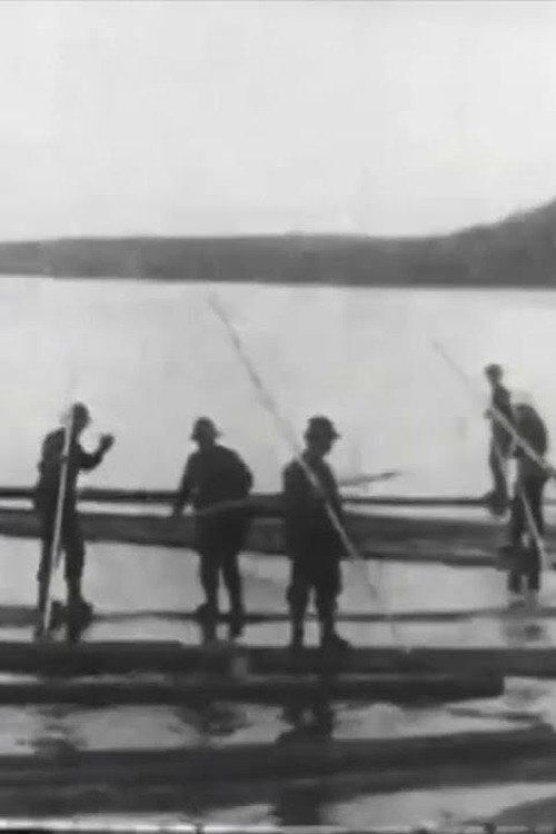 Logging in Maine Poster