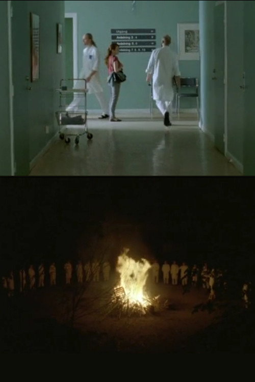 The Rite Of Spring Poster