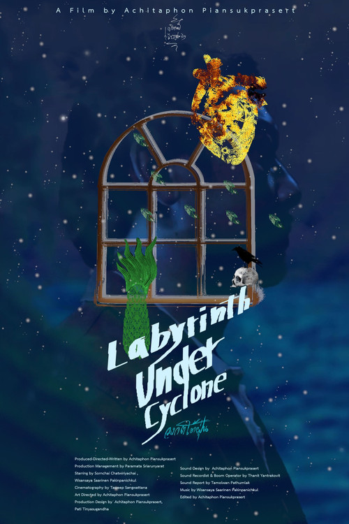 Labyrinth Under Cyclone Poster