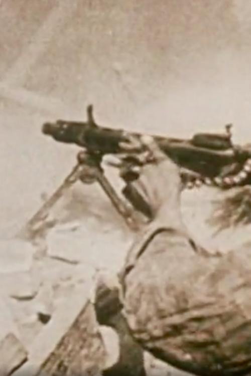 La Queue Tigrée D'un Chat Comme Un Pendentif de Pare-Brise Poster