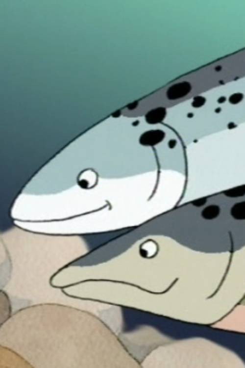 Salmon's Path Poster