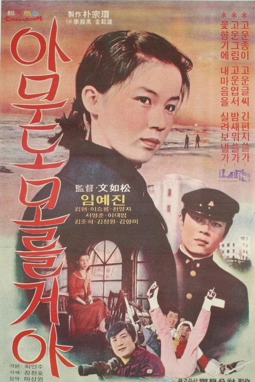 Nobody Knows Poster