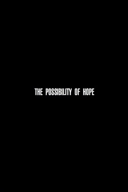 The Possibility of Hope Poster