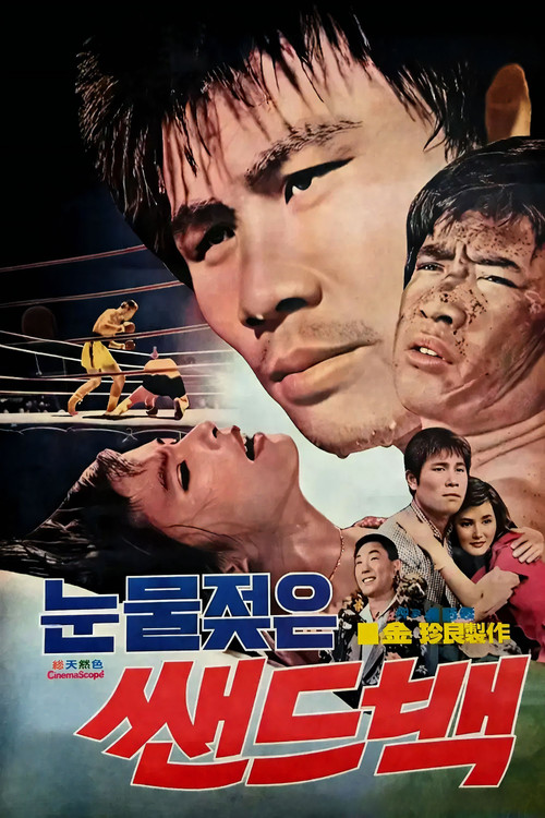 Tearful Sandbag Poster