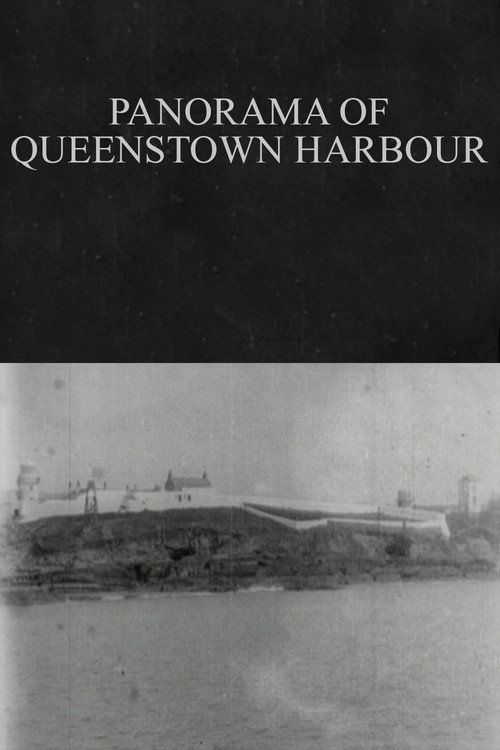 Panorama of Queenstown Harbour Poster