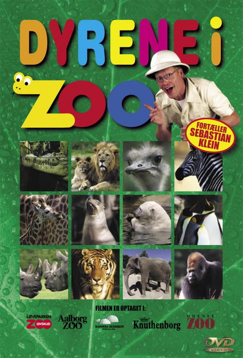 Animals in Zoo Poster