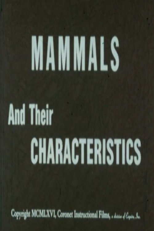 Mammals and Their Characteristics Poster