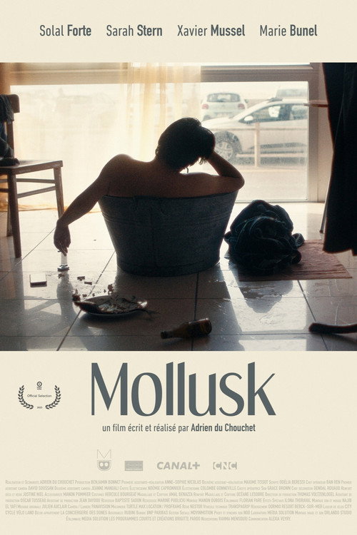 Mollusk Poster