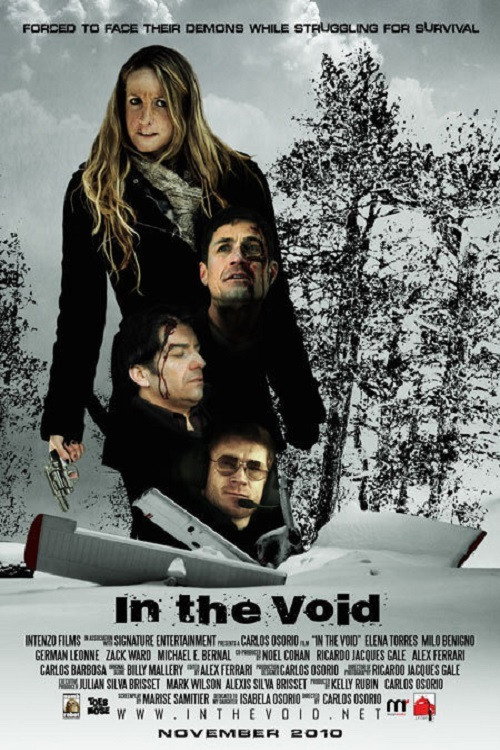 In the Void Poster