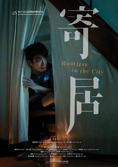 Rootless in the City Poster