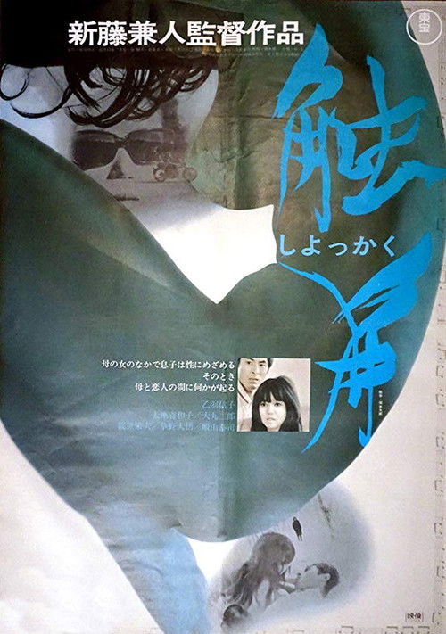 Strange Affinity Poster