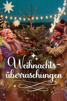 Weihnachtsüberraschungen Poster