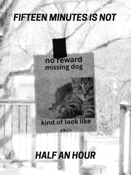 Fifteen Minutes Is Not Half An Hour Poster