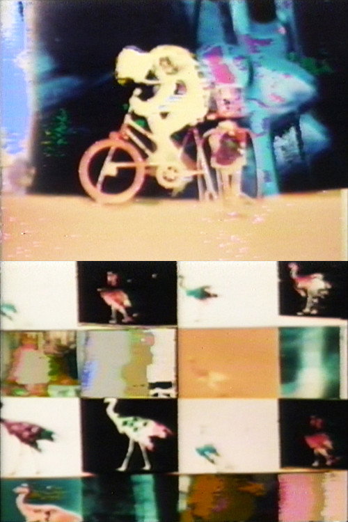 Biological Cycle No. 3 Poster