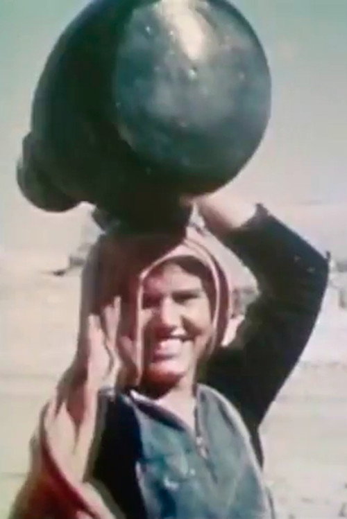 Palestine, 1949 Poster