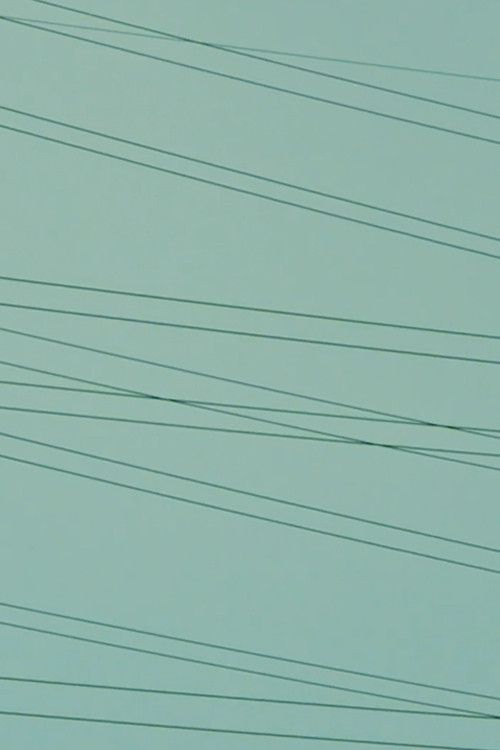 Out of Jungle Poster