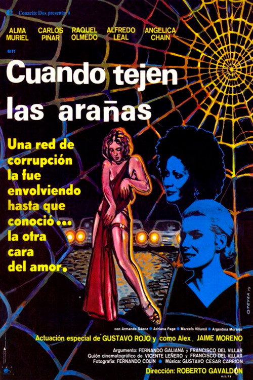 Cuando tejen las arañas Poster