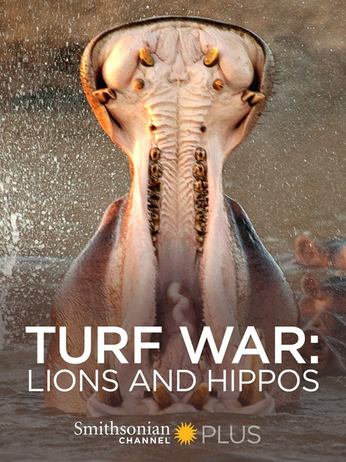 Turf War: Lions and Hippos Poster
