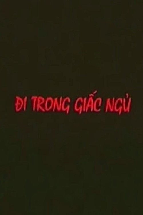 Đi Trong Giấc Ngủ Poster