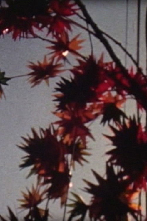 Tokyo Honeymoon Poster