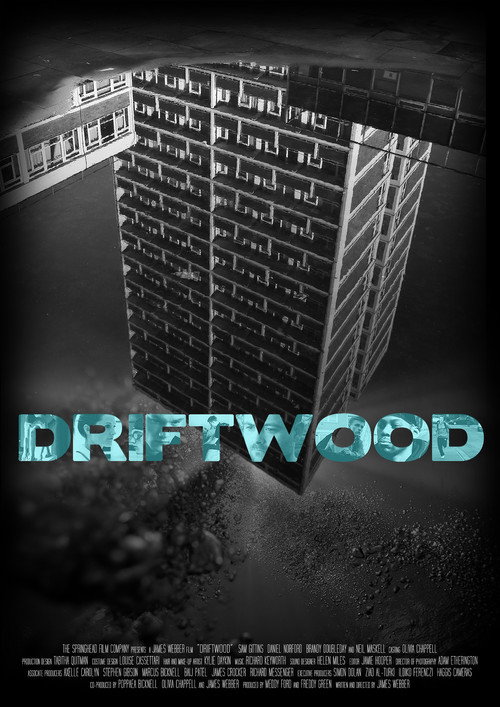Driftwood Poster