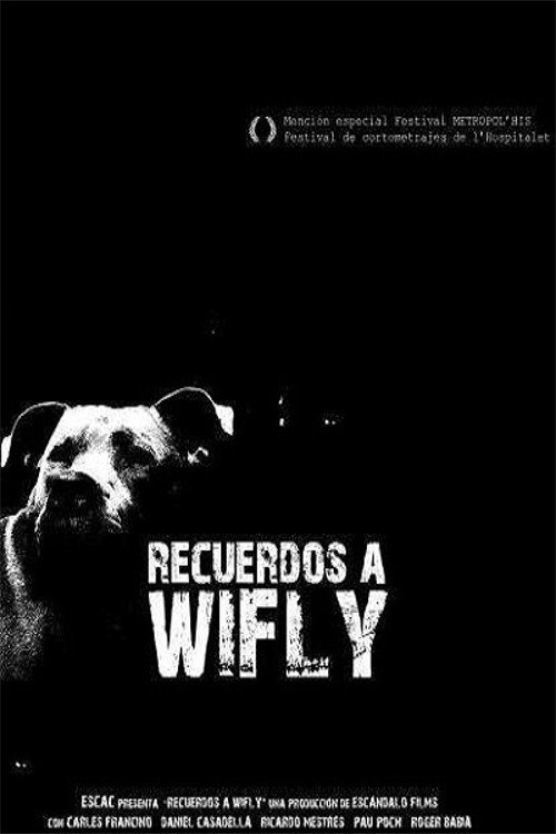 Recuerdos a Wifly Poster