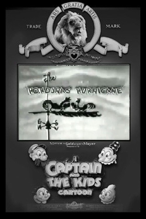 The Honduras Hurricane Poster