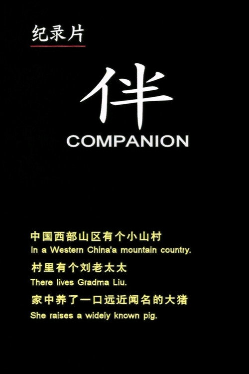 Companion Poster