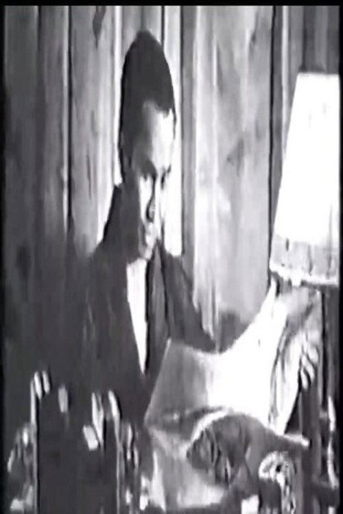 A Filipino in America Poster