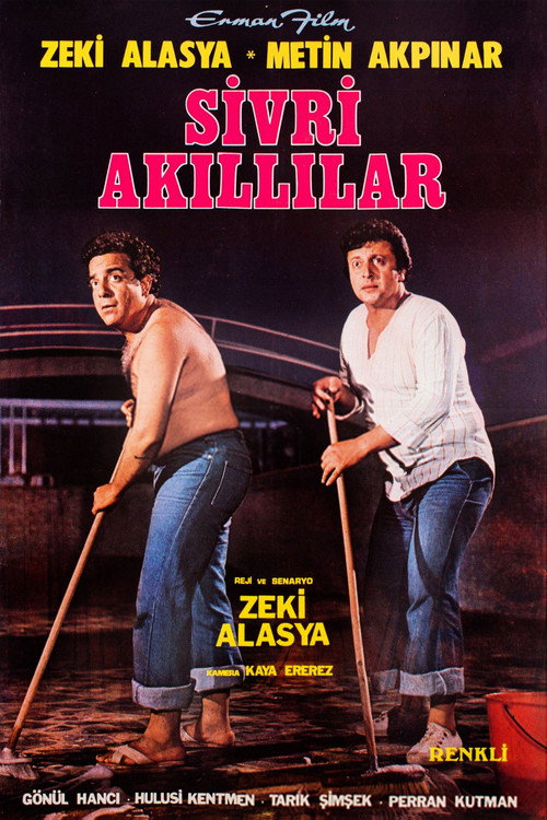 Sivri Akıllılar Poster