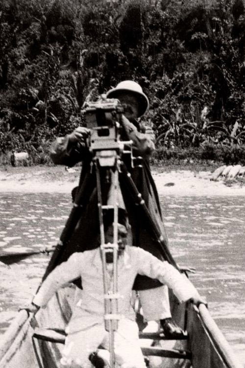 Inlandsche Bedrijven Poster