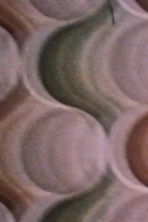 Interno Tautium Poster