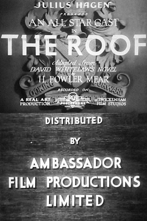 The Roof Poster